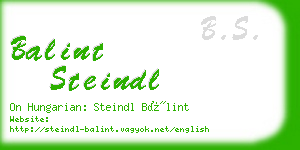 balint steindl business card